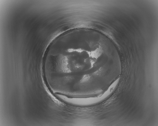 X0000062620991200601041000