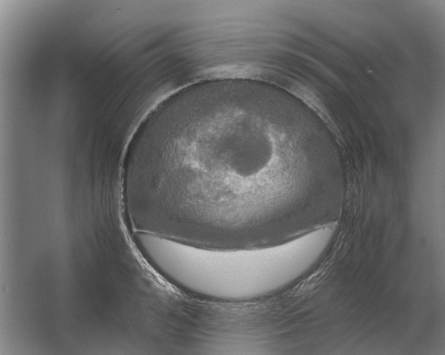 X0000062620992200601041000