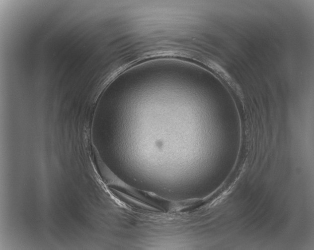 X0000062620993200601041000