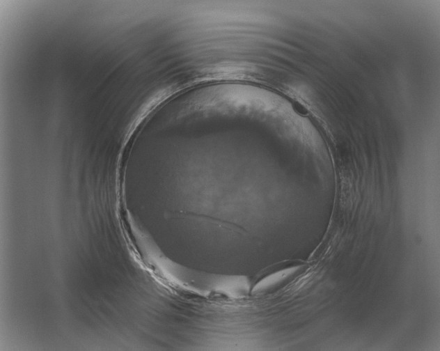 X0000062620994200601041000