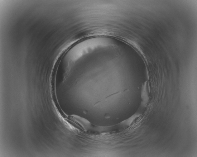 X0000062620995200601041000