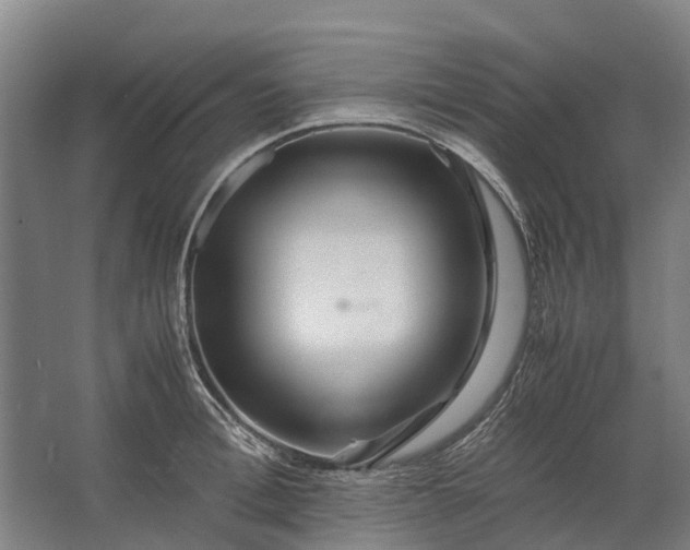 X0000062620996200601041000