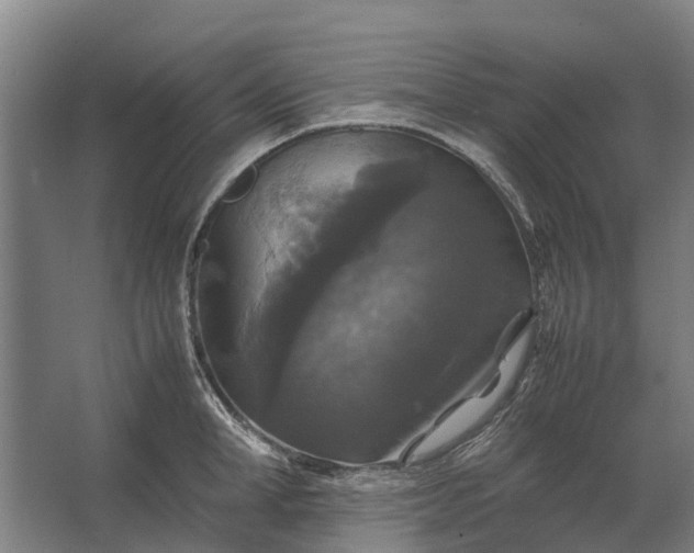 X0000062620998200601041000