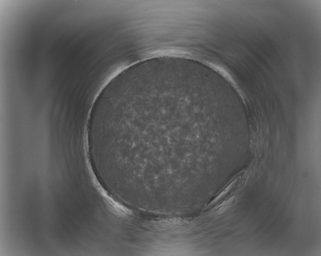 X0000062620999200601041000