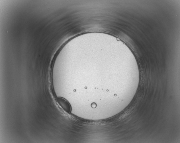 X0000062621000200601041000