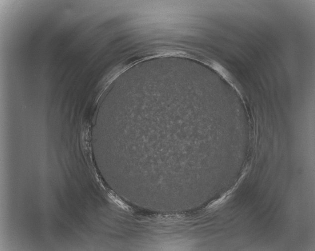 X0000062621001200601041000