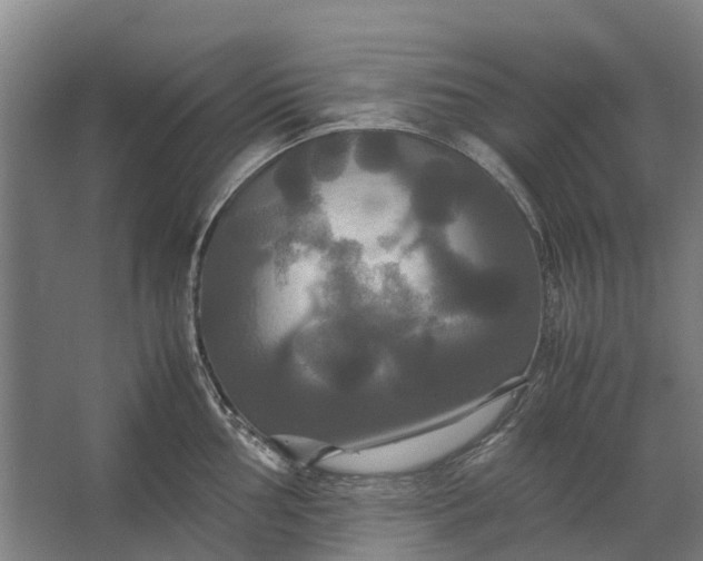 X0000062621002200601041000