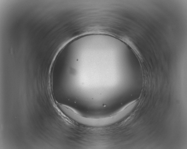 X0000062621004200601041000