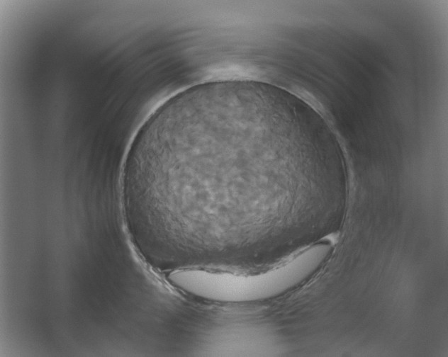 X0000062621008200601041000