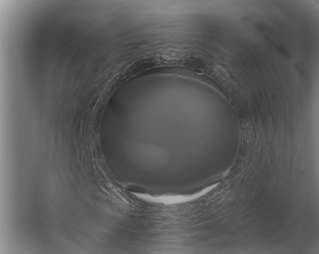 X0000062621009200601040959