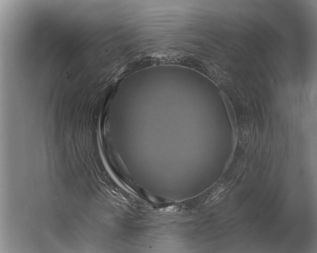 X0000062621010200601040959