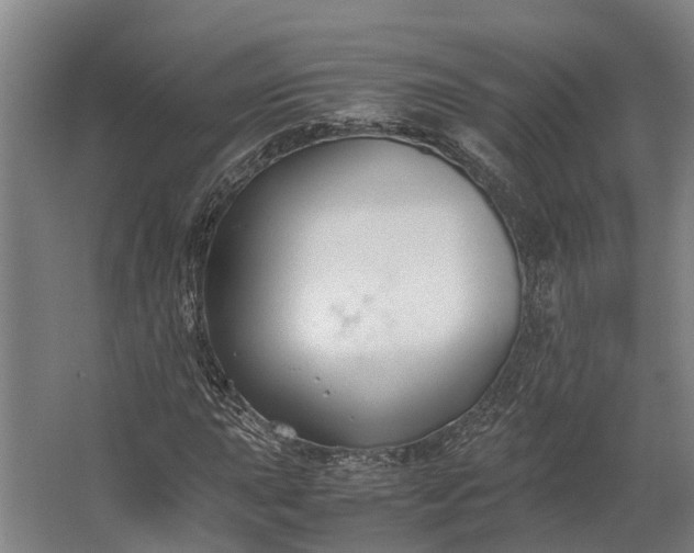 X0000062621015200601040959