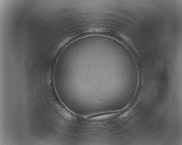 X0000062621017200601040959