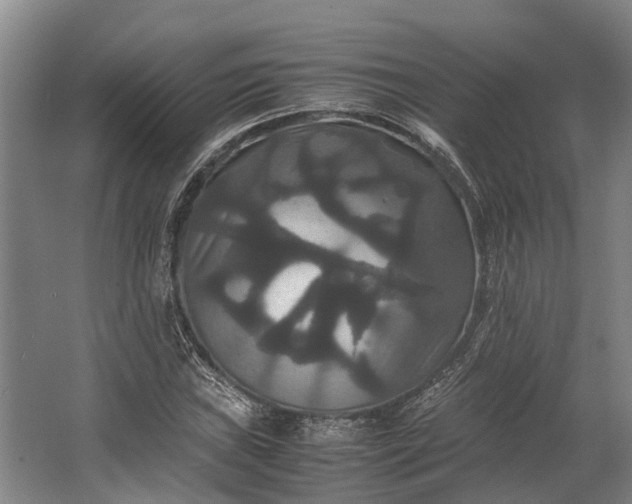 X0000062621019200601040959