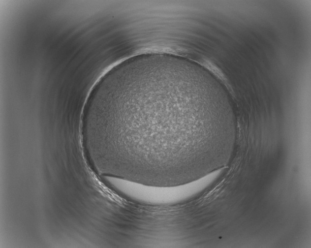 X0000062621020200601040959