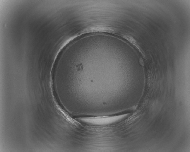 X0000062621024200601041000