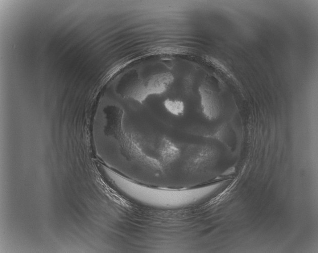 X0000062621025200601041000