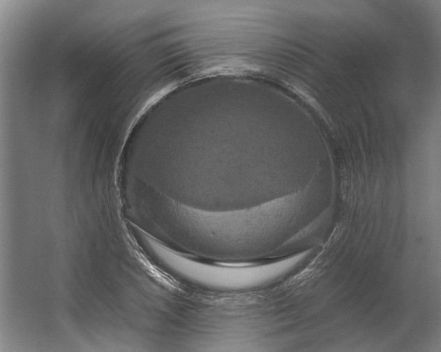 X0000062621026200601041000