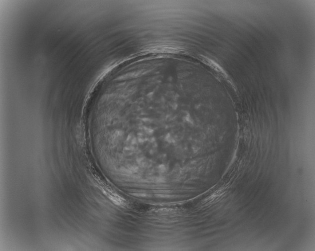 X0000062621027200601041000