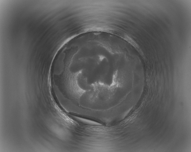 X0000062621028200601041000