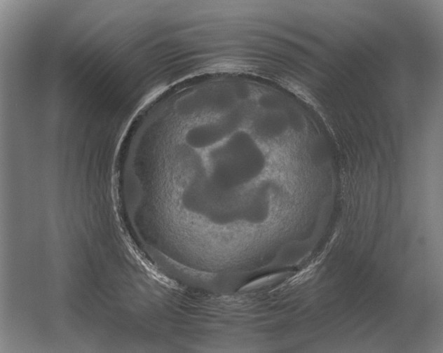 X0000062621029200601041000