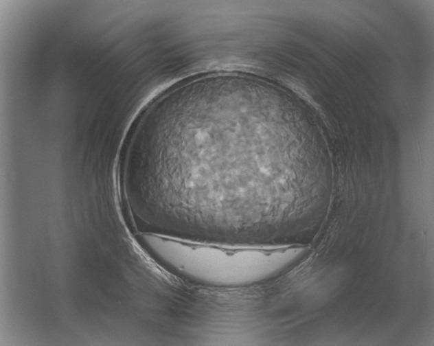 X0000062621032200601041000