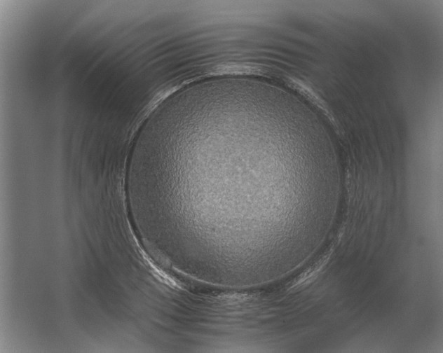 X0000062621033200601041000