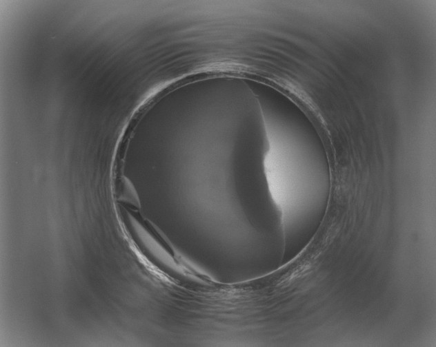 X0000062621037200601041000