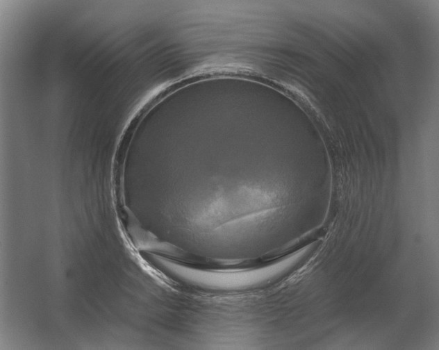 X0000062621038200601041000