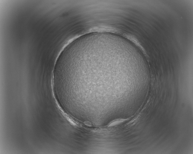 X0000062621040200601041000