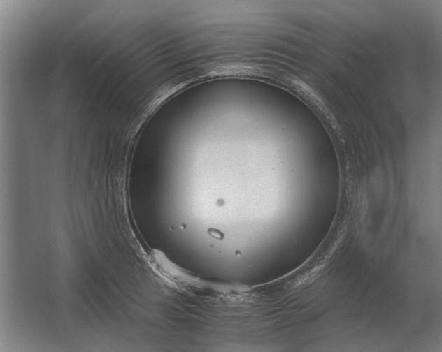 X0000062621041200601041000