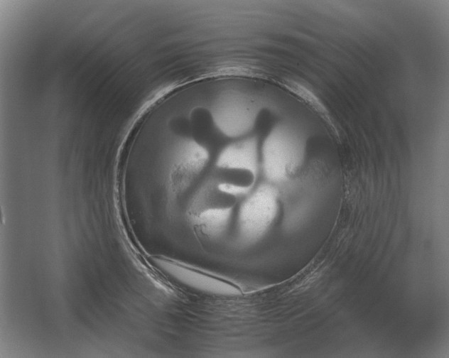 X0000062621043200601041000