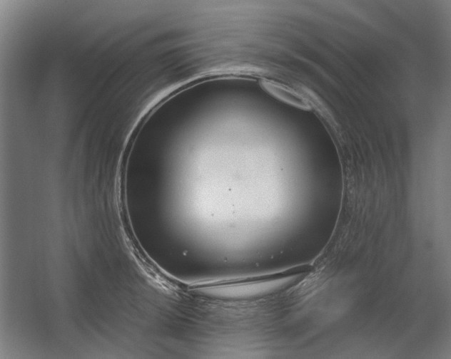 X0000062621044200601041000