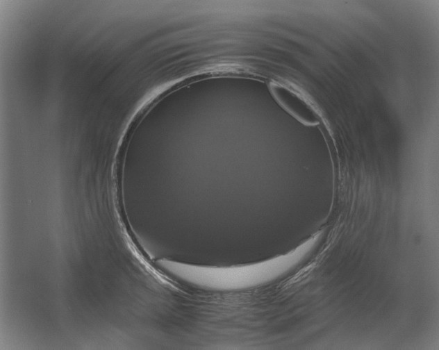 X0000062621045200601041000