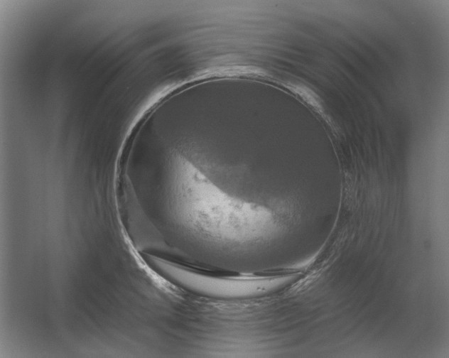 X0000062621046200601041000