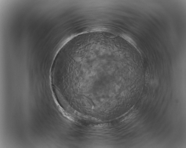 X0000062621047200601041000