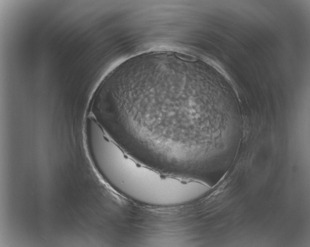 X0000062621048200601041000