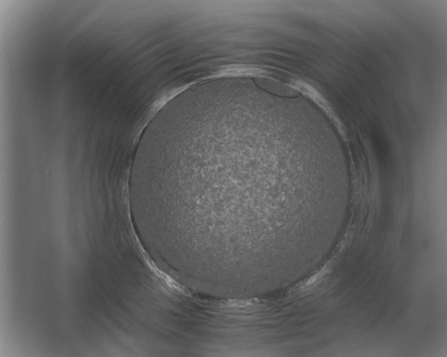 X0000062621049200601041000