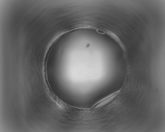 X0000062621051200601041000