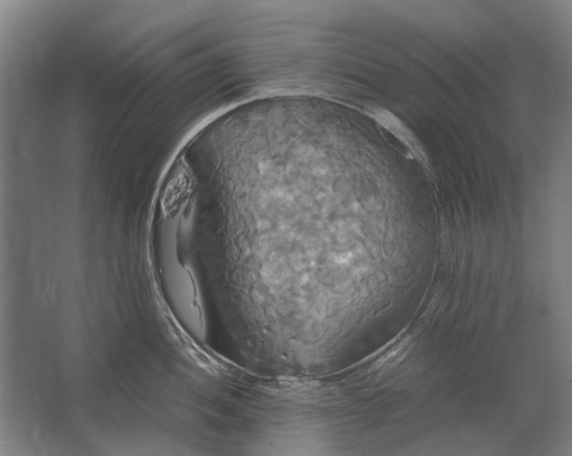 X0000062621052200601041000