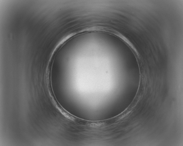 X0000062621053200601041000