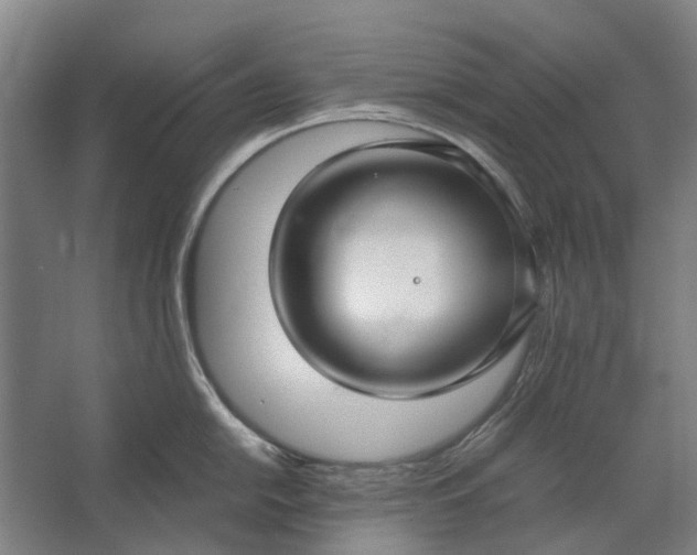 X0000062621054200601041000