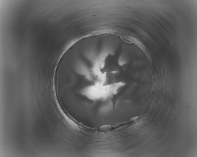 X0000062621055200601041000