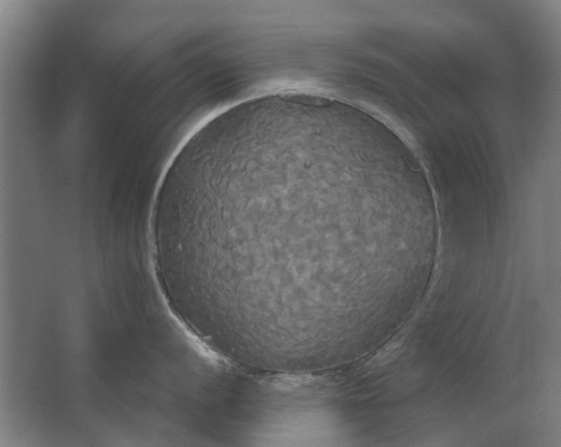 X0000062621056200601041000