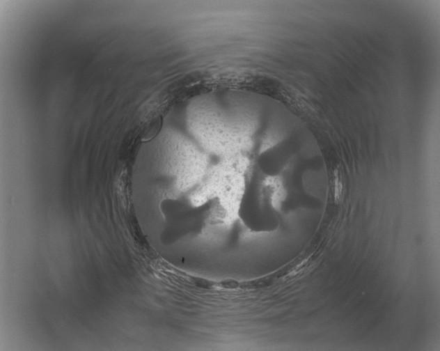 X0000062621059200601040959