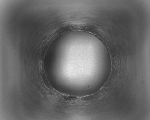 X0000062621061200601040959