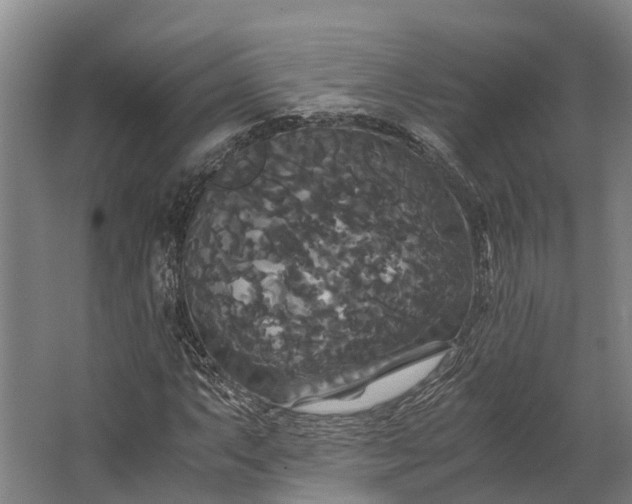 X0000062621063200601040959