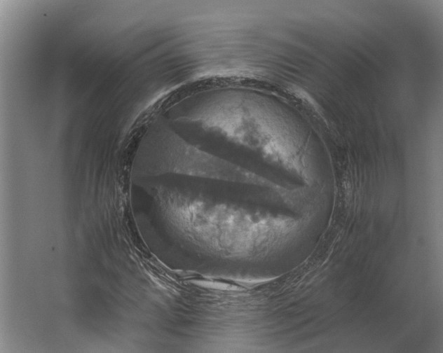 X0000062621064200601040959