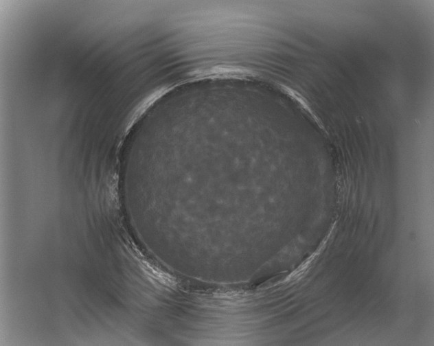 X0000062621066200601040959