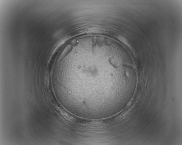 X0000062621067200601040959